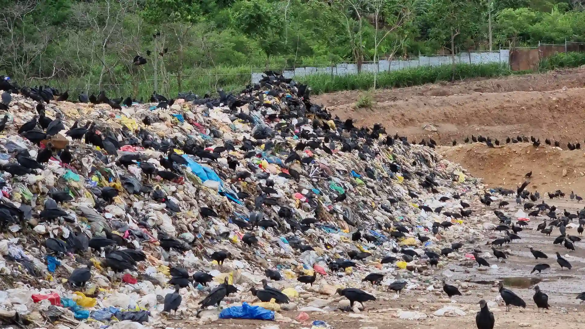 ¿Bogotá podría repetir crisis de basura por vencimiento de contratos?