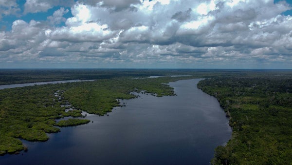 Brasil autorizó exploración petrolera cerca del río Amazonas, a pocos días de la COP30