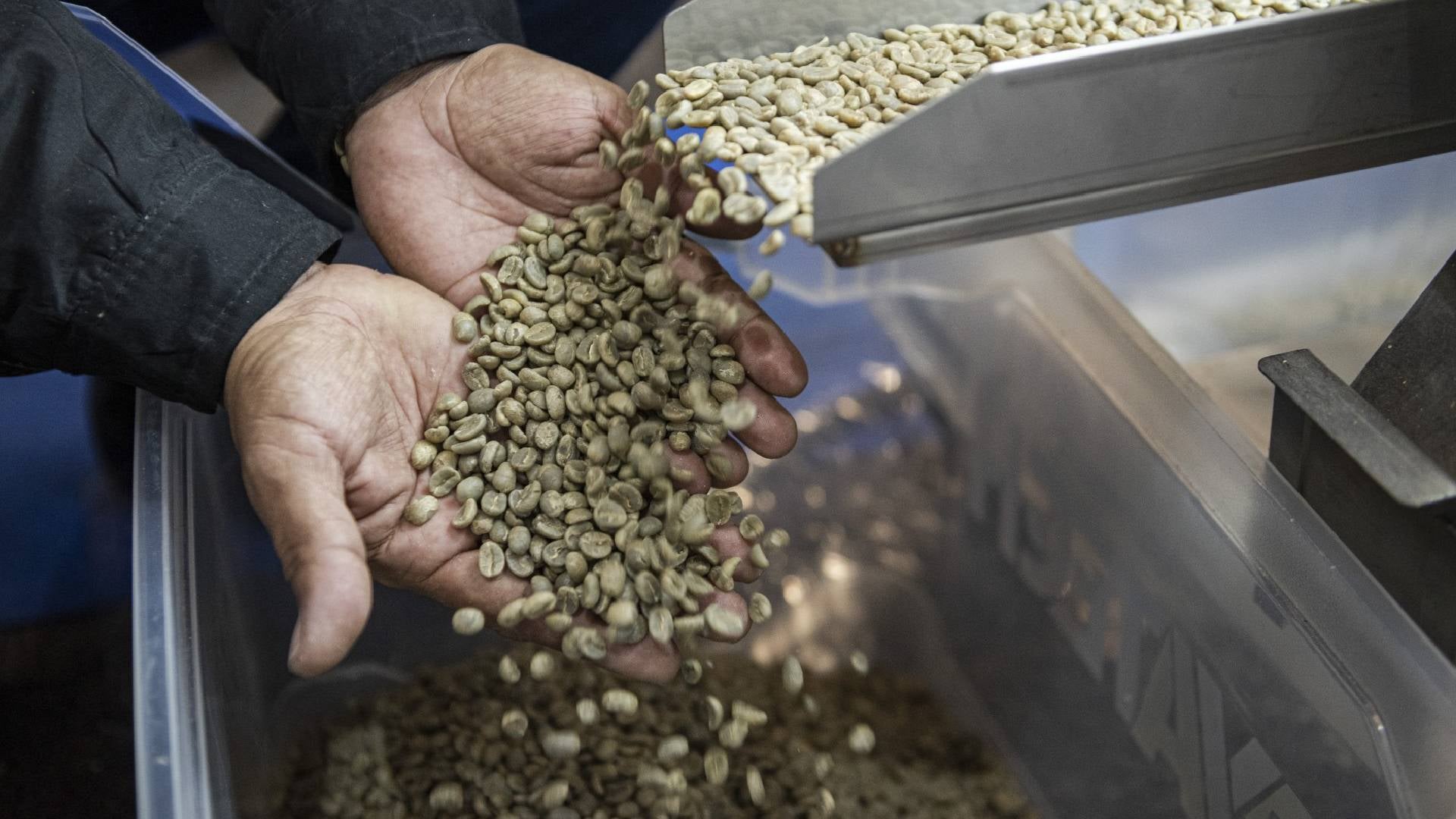 Foto: Cafés de Colombia Expo | Corferias