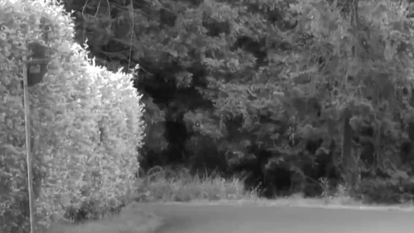 Bebé de dos meses apareció muerto en una canaleta de desagüe de una fundación del ICBF en Cali: esto se sabe Bebé de dos meses apareció muerto en una canaleta de desagüe de una fundación del ICBF en Cali: esto se sabe