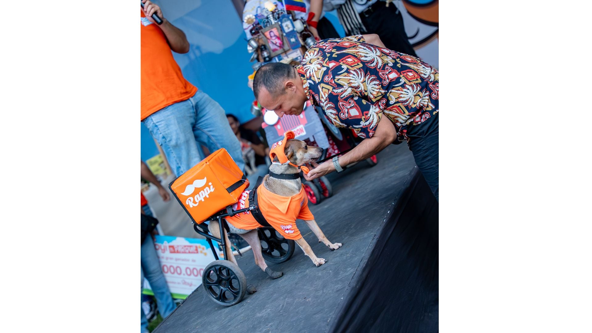 Foto: Cortesía Royi Pets