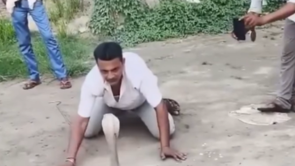 Serpiente atacó a un domador y murió ante el público: la tragedia quedó grabada Serpiente atacó a un domador y murió ante el público: la tragedia quedó grabada