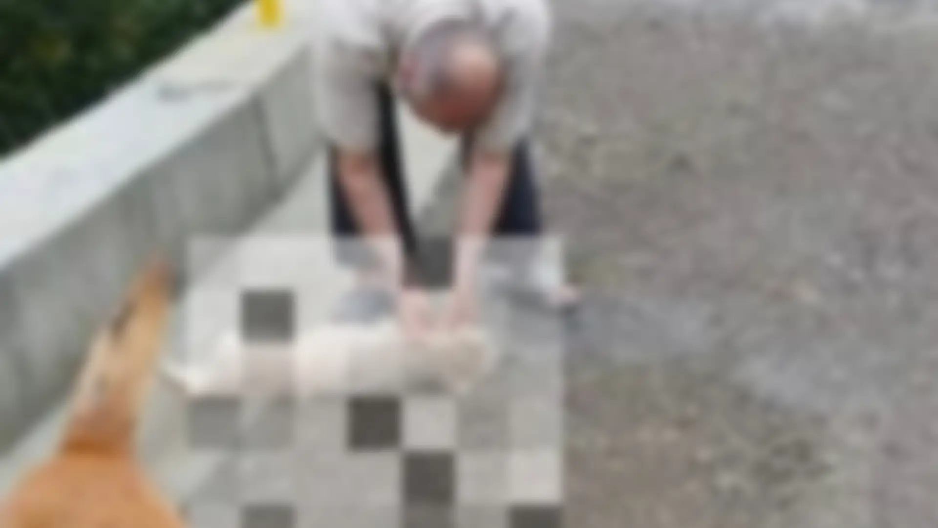 Perro fue colgado de un puente en Manizales