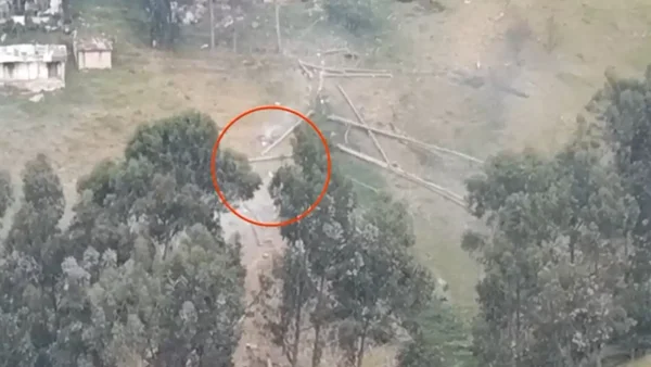 VIDEO | Atraparon en flagrancia a sujetos que estaban talando ilegalmente eucaliptos en Bogotá VIDEO | Atraparon en flagrancia a sujetos que estaban talando ilegalmente eucaliptos en Bogotá