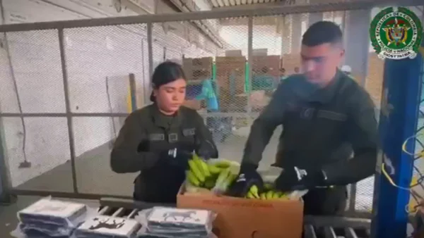 Incautan más de media tonelada de cocaína en puerto de Santa Marta con destino a Reino Unido