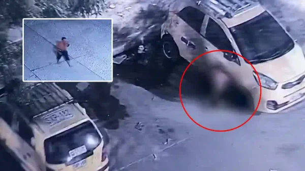 Video captó el momento exacto en el que un hombre asesinó con un cuchillo a un perrito en Barranquilla