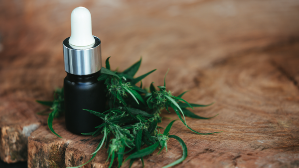 Uso de cannabis medicinal en Colombia crece en gran medida: estas son las cifras