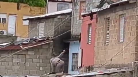 Murió Penélope influencer operativo Río de Janeiro favela Brasil