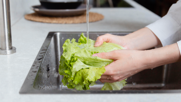 El riesgo de lavar la lechuga solo con agua: expertos advierten sobre bacterias