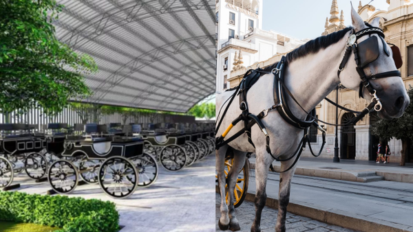 Cartagena recibirá los primeros coches eléctricos que reemplazarán los de tracción animal