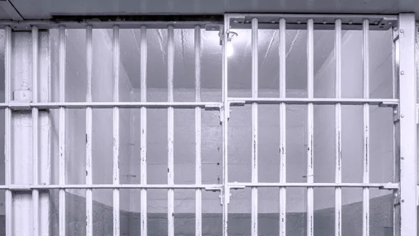 Judicializan a miembros de red que desviaba químicos al narcotráfico usando una empresa de pinturas