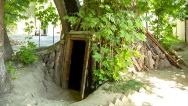 Francés descubrió un tesoro en su jardín mientras construía una piscina: ¿qué fue lo que halló? Francés descubrió un tesoro en su jardín mientras construía una piscina: ¿qué fue lo que halló?