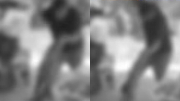 Aberrante: hombre habría ocasionado la muerte de un perro tras propinarle contundente golpiza en Antioquia