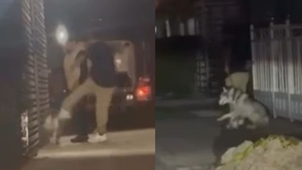 En VIDEO I Hombre es captado propinándole patadas a su perro en Bogotá y la comunidad reacciona En VIDEO I Hombre es captado propinándole patadas a su perro en Bogotá y la comunidad reacciona