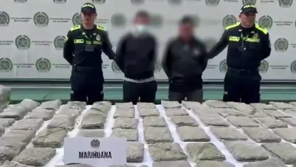 Hallan 60 kilos de marihuana enterrados en una bodega de reciclaje en el sur de Bogotá Hallan 60 kilos de marihuana enterrados en una bodega de reciclaje en el sur de Bogotá