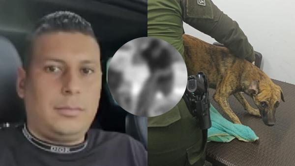 Se entregó el hombre que golpeó brutalmente a un perro en Antioquia: llegó con un animal