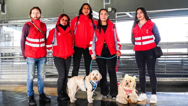 Casos de animales explotados o abandonados en Transmilenio serán atendidos por un nuevo equipo de rescate ¿Cómo reportarlos? Casos de animales explotados o abandonados en Transmilenio serán atendidos por un nuevo equipo de rescate ¿Cómo reportarlos?