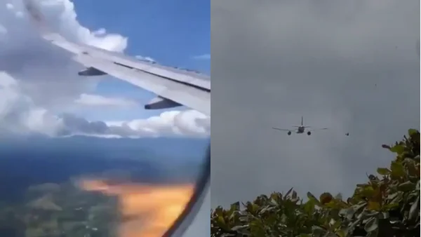 ¿Qué tan comunes son los accidentes de avión con aves como el ocurrido en vuelo Popayán-Bogotá?