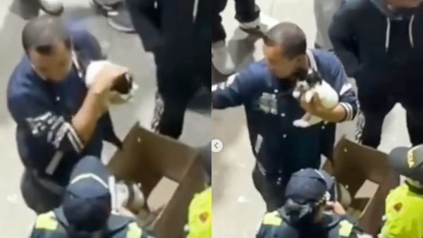 Indignante: ciudadanos denuncian venta ilegal de cachorros cerca a estación de Transmilenio Indignante: ciudadanos denuncian venta ilegal de cachorros cerca a estación de Transmilenio