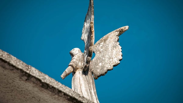 JEP avala investigación sobre el asesinato y desaparición forzada de 47 personas en Dabeiba e Ituango JEP avala investigación sobre el asesinato y desaparición forzada de 47 personas en Dabeiba e Ituango