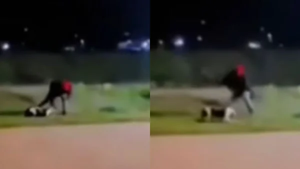 Sujeto en Zipaquirá es captado en video mientras golpea a un perro: no sería la primera vez que lo hace Sujeto en Zipaquirá es captado en video mientras golpea a un perro: no sería la primera vez que lo hace