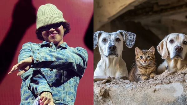 “No al maltrato animal”: el contundente mensaje de Beéle tras sus shows en Bogotá