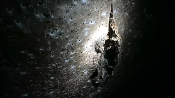 VIDEO | Descubrieron una monstruosa telaraña con más de 100.000 arañas en una cueva VIDEO | Descubrieron una monstruosa telaraña con más de 100.000 arañas en una cueva