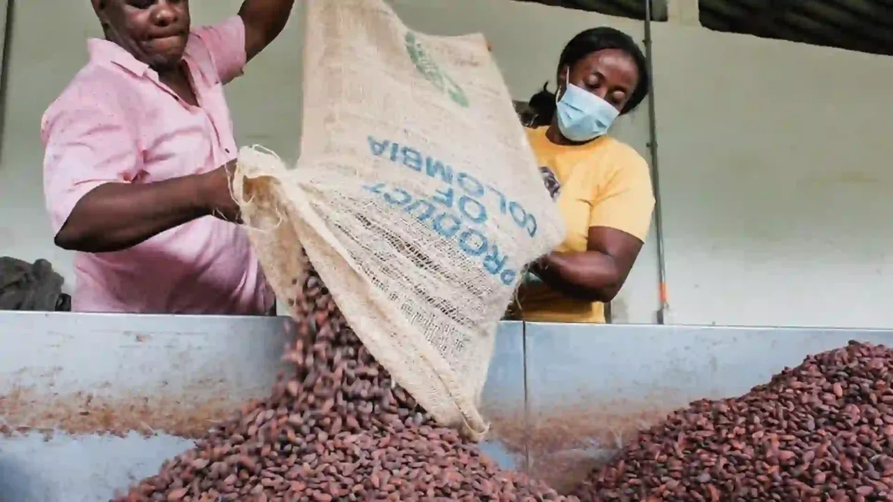 SENA launches free certification for working women: LINK to apply