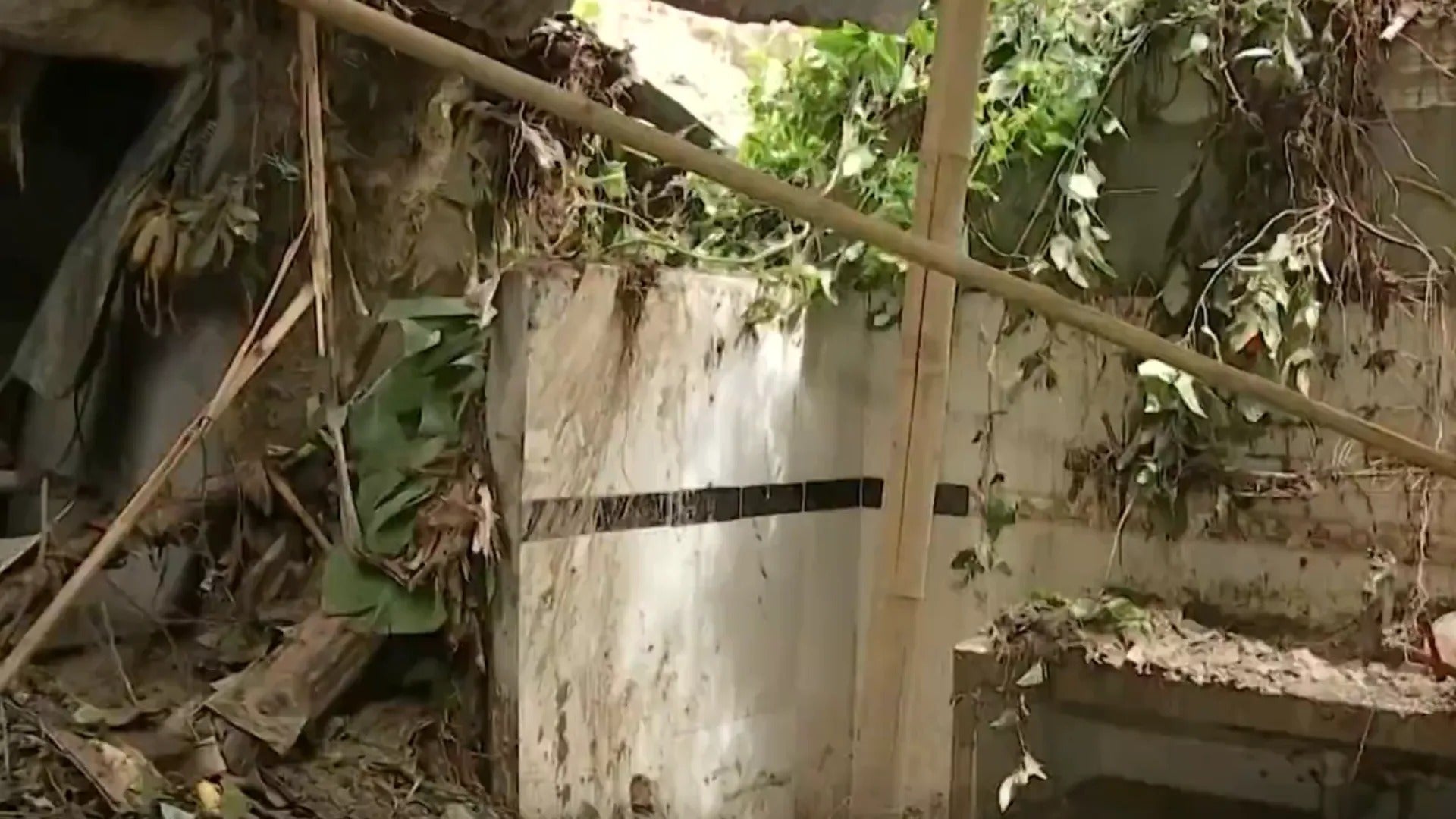 Foto: Emisión de Noticias RCN