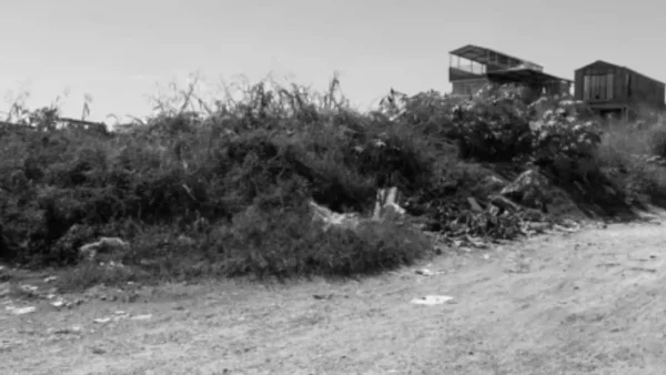 Turista canadiense fue robada y abusada sexualmente por un habitante de calle en un cerro de Medellín Turista canadiense fue robada y abusada sexualmente por un habitante de calle en un cerro de Medellín