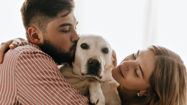 Hábitos que podrían prolongar la vida de las mascotas, según científicos Hábitos que podrían prolongar la vida de las mascotas, según científicos