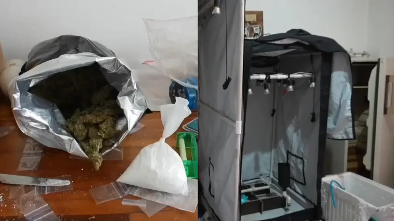 Cover image for Vivienda en el sur de Bogotá producía hasta 50 kilos de marihuana en un mes con esta técnica