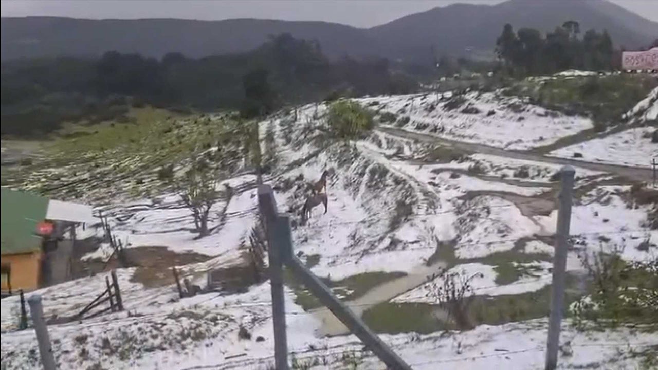 Cover image for Impresionante granizada cubrió de blanco a La Calera este domingo
