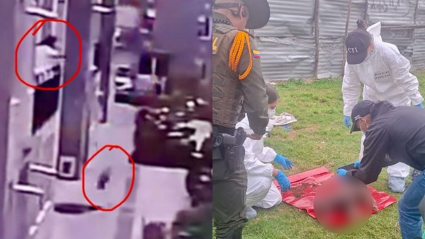 Perrita habría sido lanzada desde un segundo piso por una mujer en Bosa, Bogotá Perrita habría sido lanzada desde un segundo piso por una mujer en Bosa, Bogotá