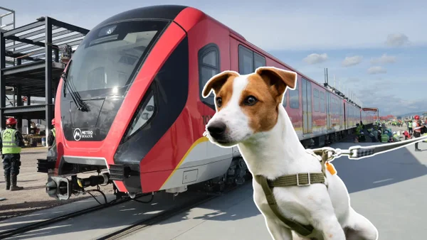 ¿Los perros serán permitidos en el Metro de Bogotá? Ya hay respuesta oficial ¿Los perros serán permitidos en el Metro de Bogotá? Ya hay respuesta oficial