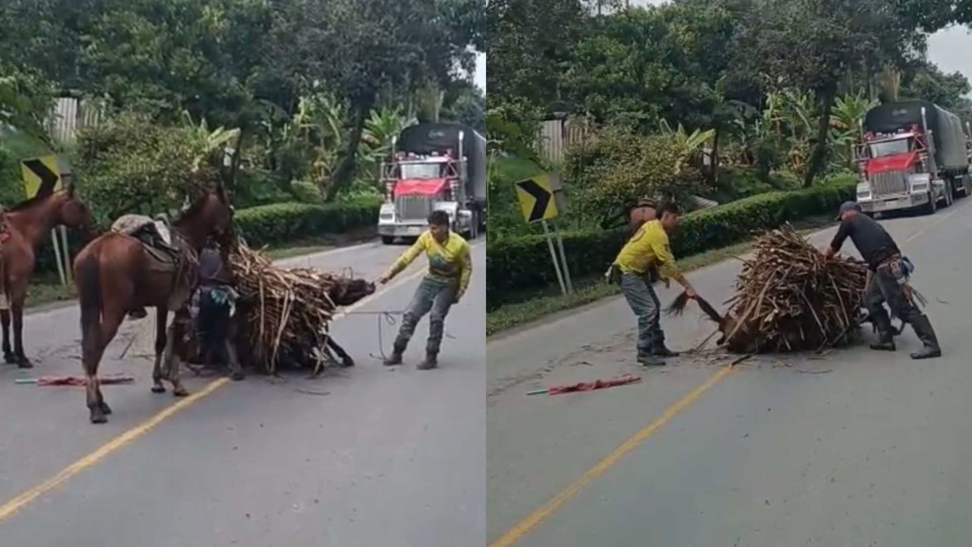 Foto: Captura pantalla IG @jeffersonntn24