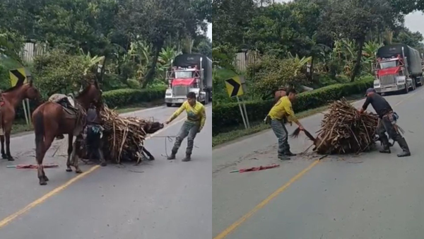 VIDEO I Burro es golpeado y obligado a llevar carga pesada en Santana, Boyacá VIDEO I Burro es golpeado y obligado a llevar carga pesada en Santana, Boyacá