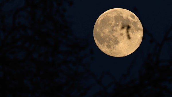 En vivo | Vea la 'Luna fría' de diciembre, la última superluna del año