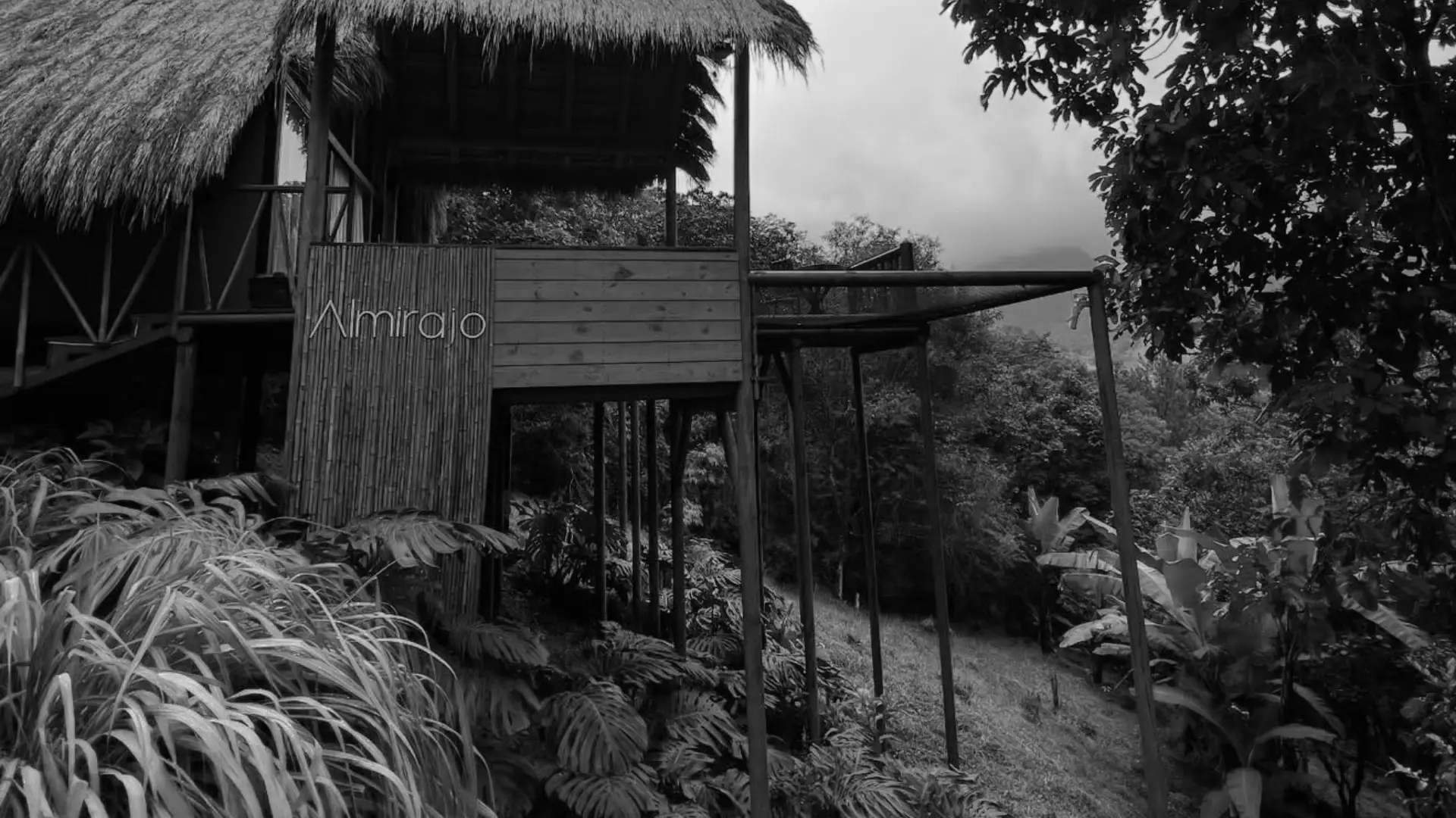 Robo en glamping en Cali