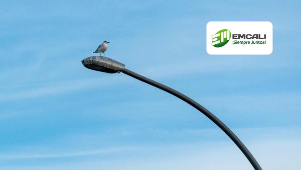 Procuraduría alerta fallas en proceso de alumbrado público de EMCALI Procuraduría alerta fallas en proceso de alumbrado público de EMCALI