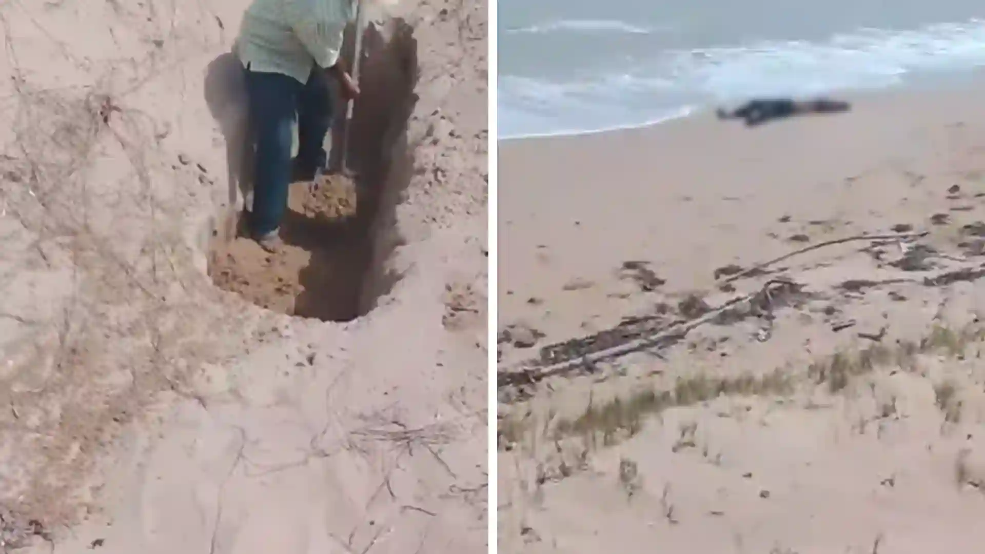 “Al parecer, son lancheros bombardeados”: presidente Petro sobre cuerpos hallados en La Guajira