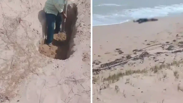 “Al parecer, son lancheros bombardeados”: presidente Petro sobre cuerpos hallados en La Guajira “Al parecer, son lancheros bombardeados”: presidente Petro sobre cuerpos hallados en La Guajira