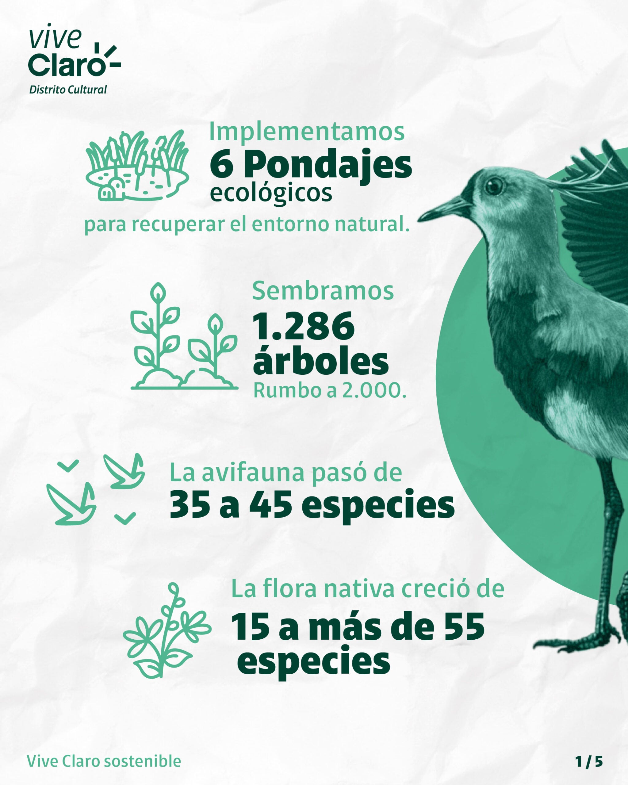 Cortesía: Vive Claro