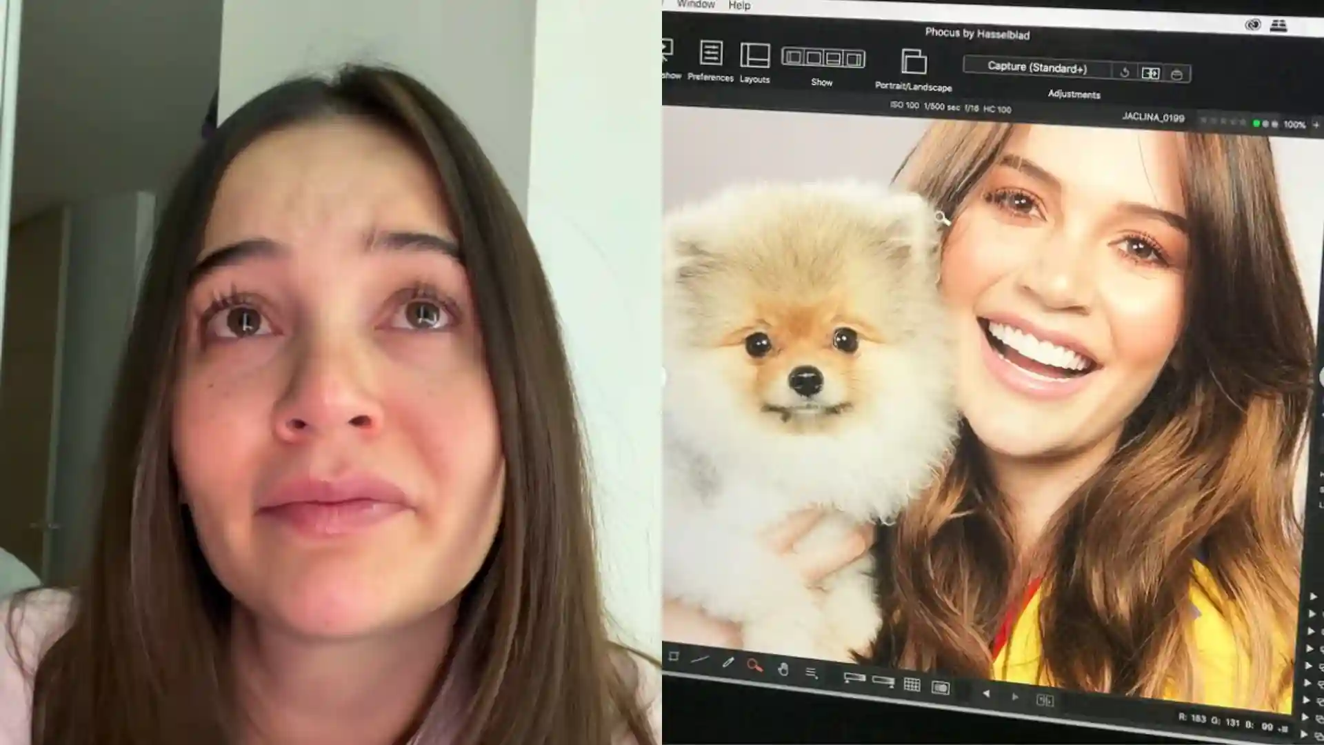 Lina tejeiro, perro romeo