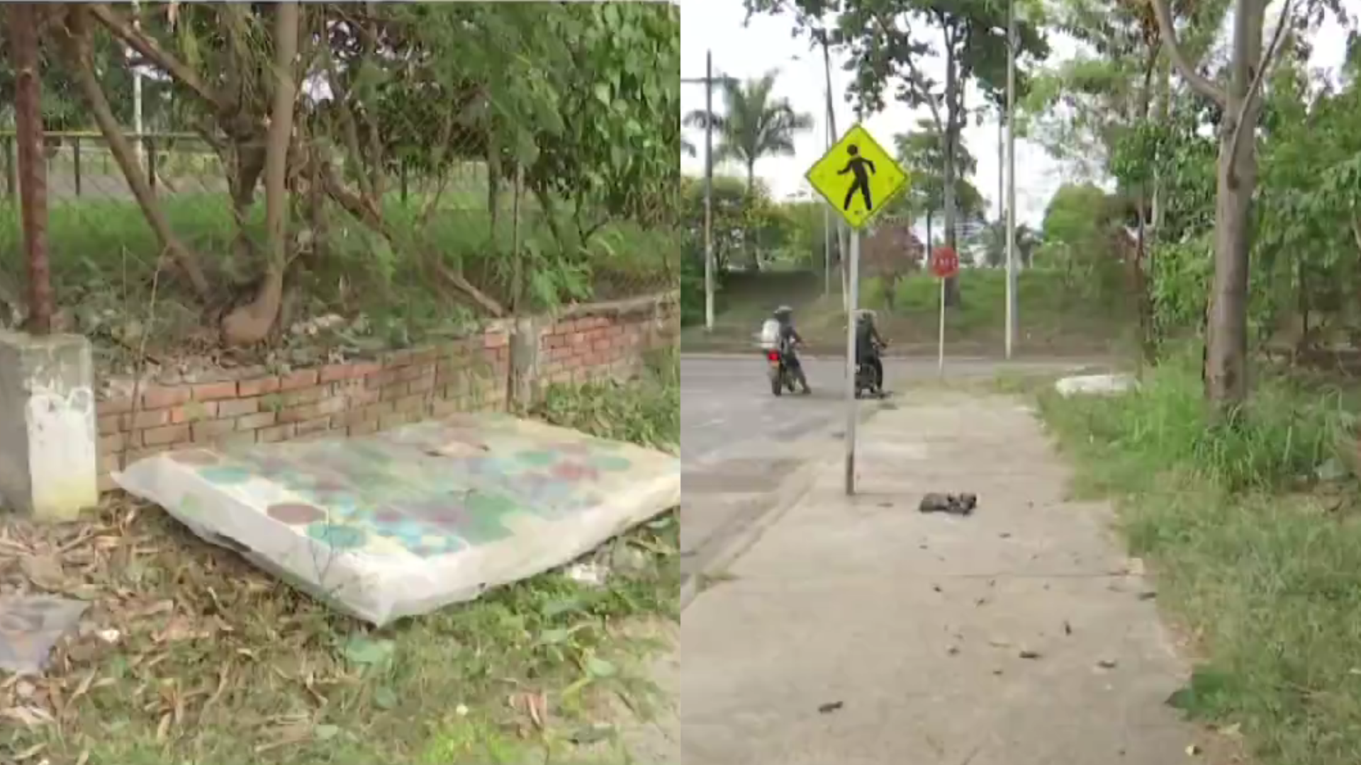 Foto: emisión de Noticias RCN