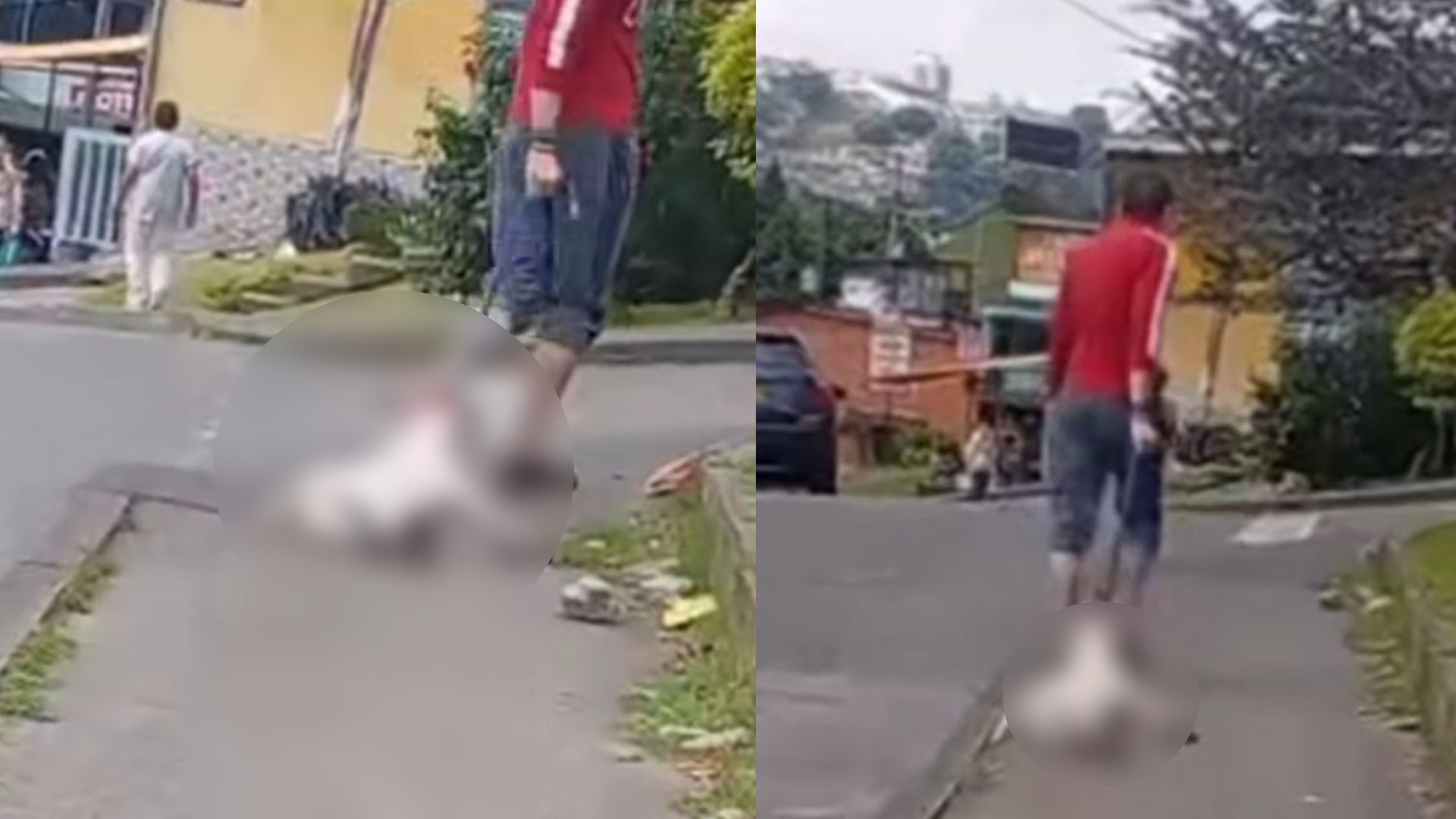 Foto: Captura pantalla IG @andreanimalidad