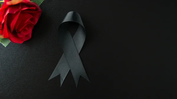 Luto profundo: estrella de la NASCAR murió junto a su esposa y sus hijos tras trágico accidente aéreo