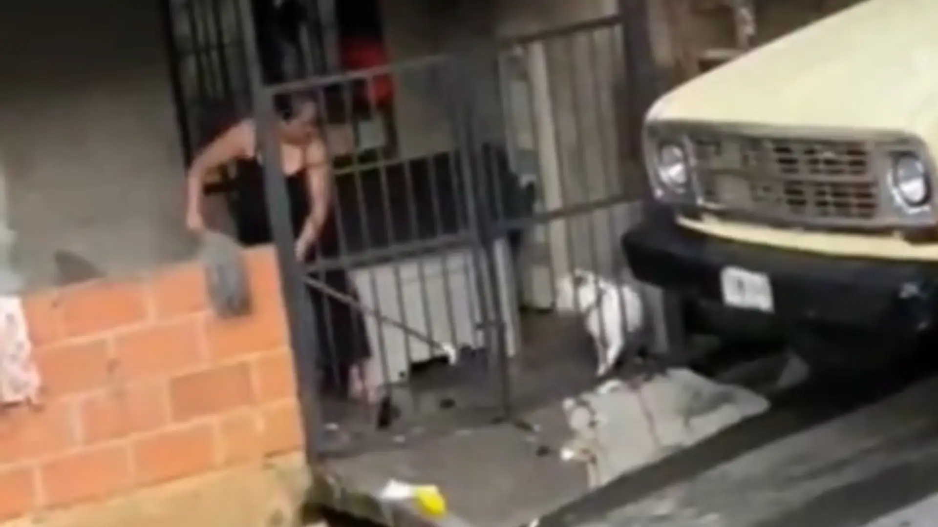 Video de presunto maltrato animal en Bello
