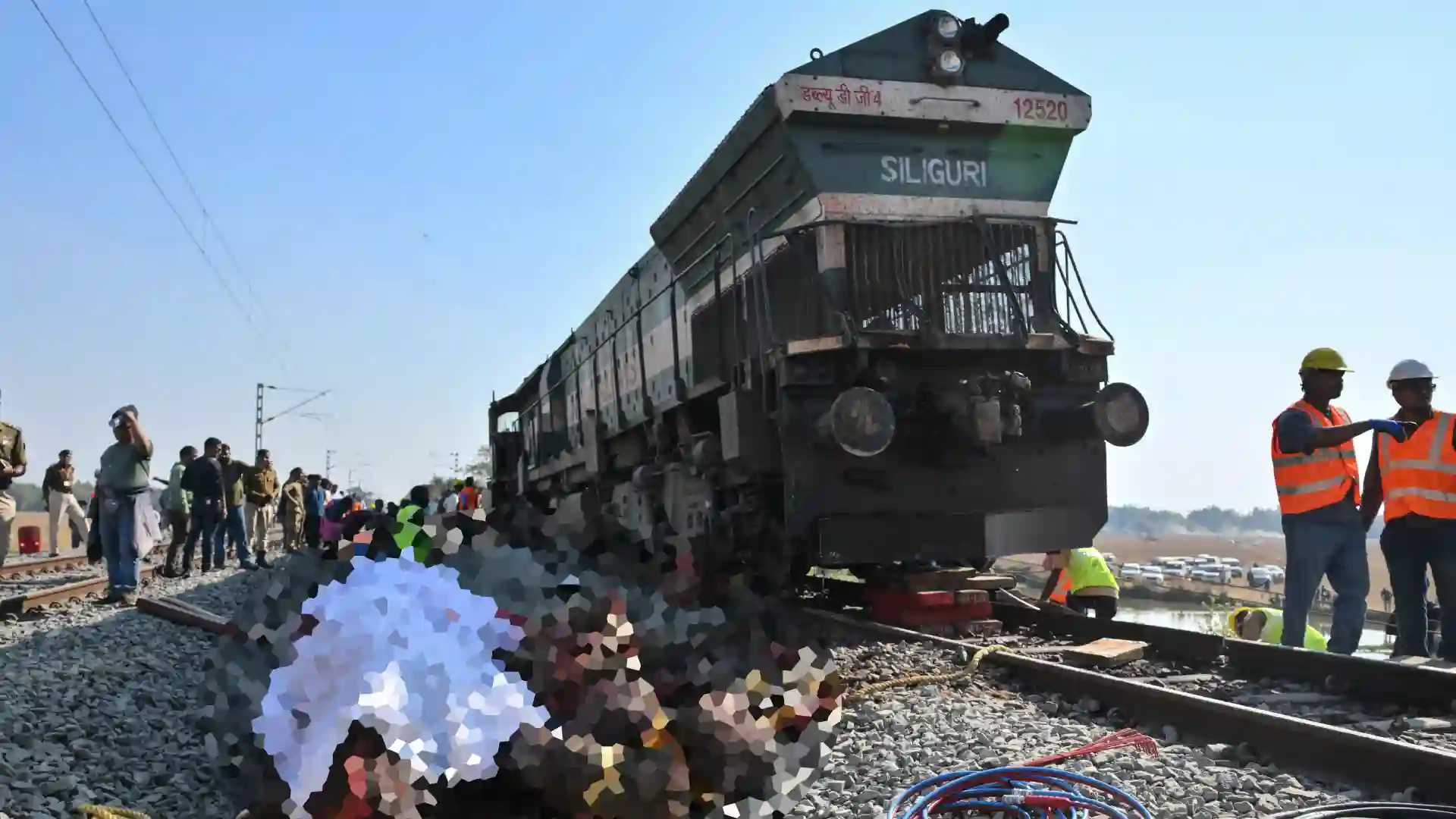 Tren atropelló y mató a una manada de siete elefantes en India