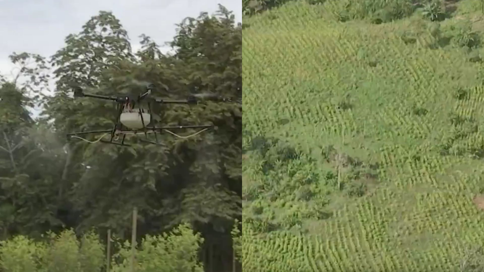 Foto: Captura pantalla Noticias RCN